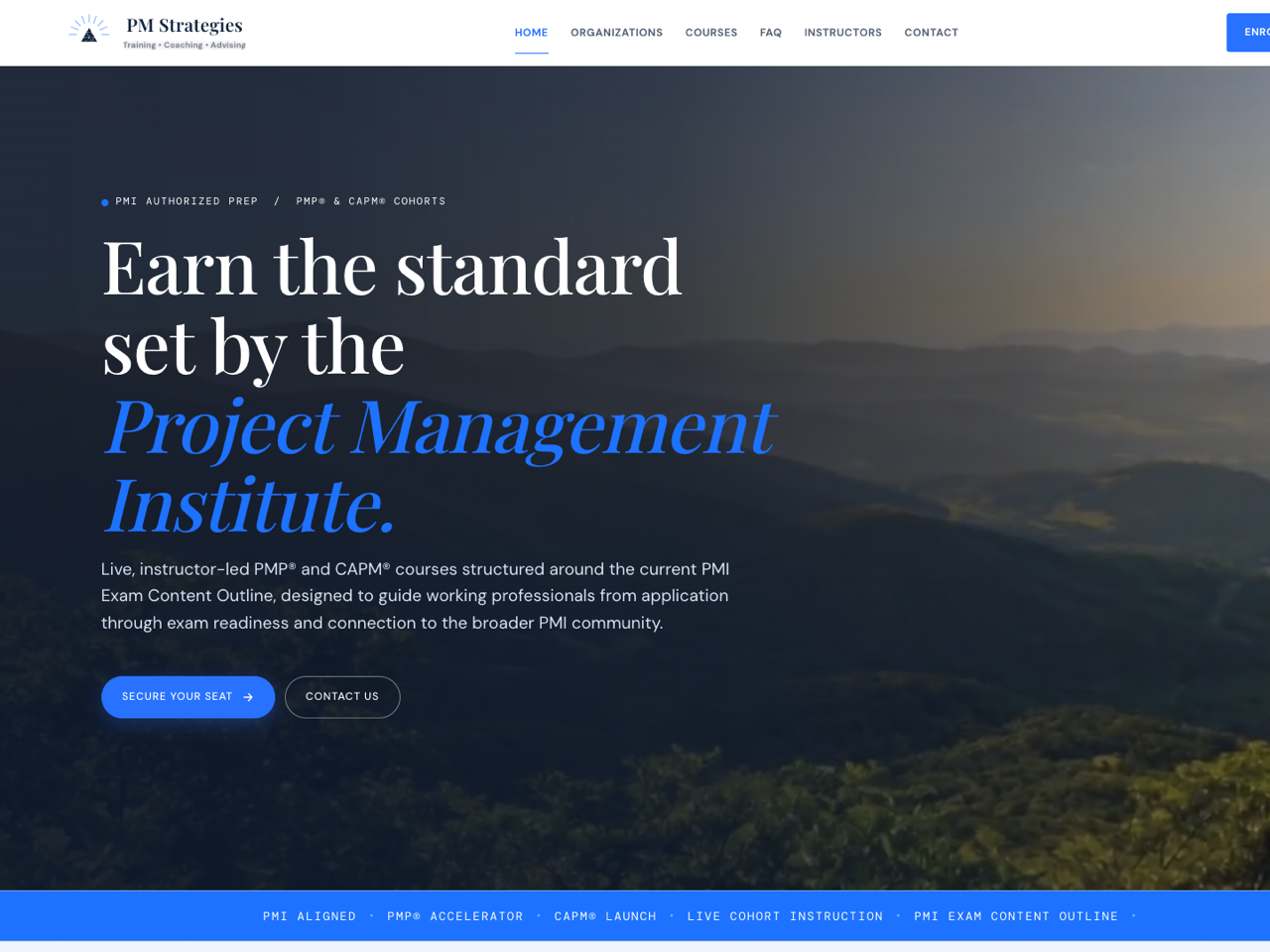 PM Strategies website preview